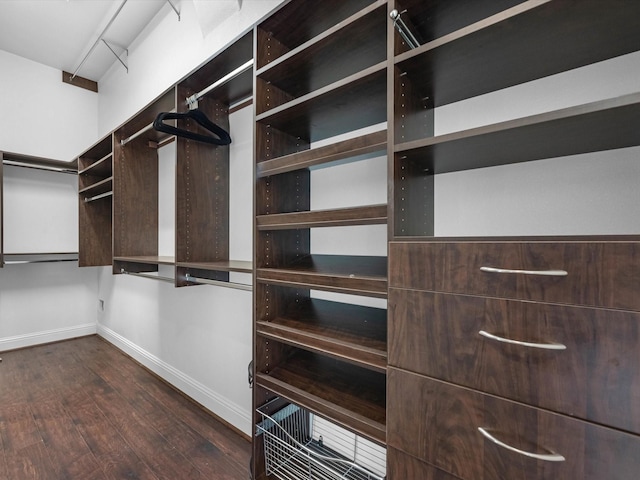 19003 Cove Manor Dr, Cypress, TX 77433 - walk in closet with dark wood finished floors