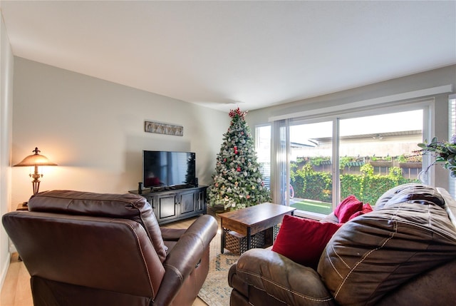 18218 Heritage Ln Unit 8218, Houston, TX 77058 - living room featuring wood finished floors
