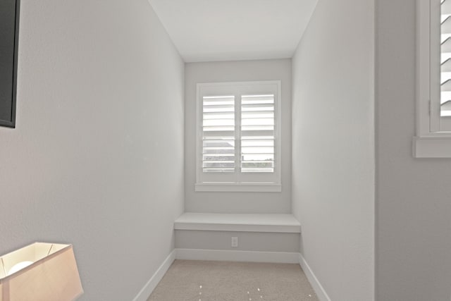 6602 Rochester Lake Loop, Katy, TX 77493 - detailed view of carpet floors and baseboards