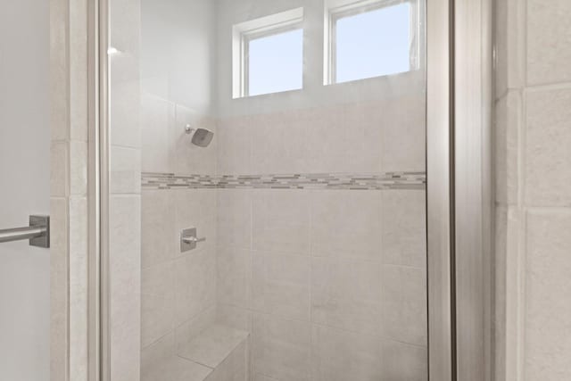 6602 Rochester Lake Loop, Katy, TX 77493 - bathroom with a stall shower
