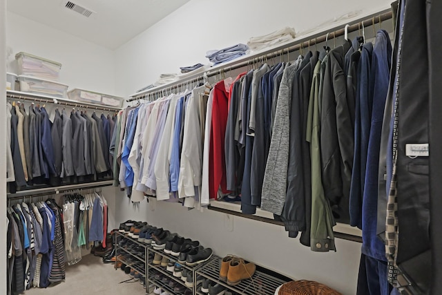6602 Rochester Lake Loop, Katy, TX 77493 - spacious closet with carpet