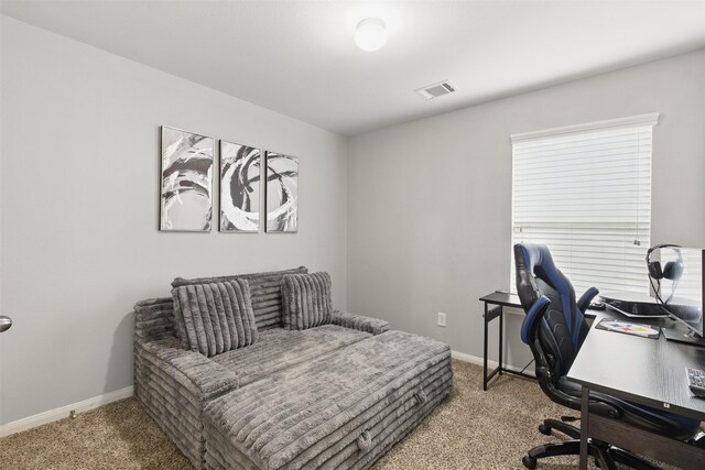 12911 Italian Cypress Trl, Houston, TX 77044 - carpeted office featuring baseboards