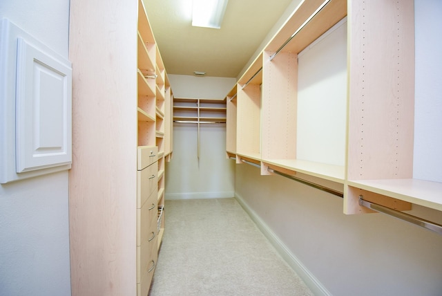 1611 Whitfield St, Sugar Land, TX 77479 - walk in closet with light carpet