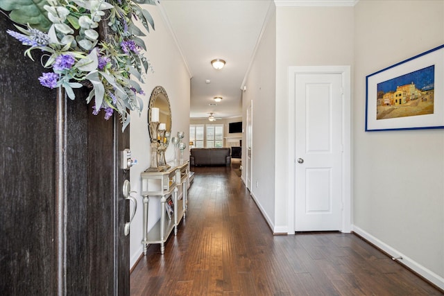 8918 Aventino Way, Houston, TX 77080 - entryway featuring crown molding, dark wood finished floors, baseboards, a fireplace, and a ceiling fan