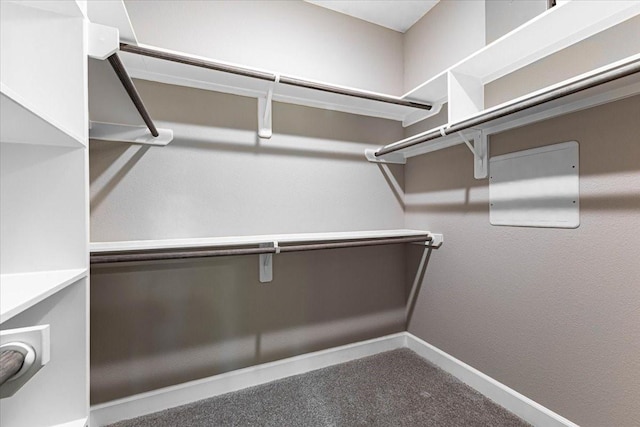 6507 Radcliffe St, Houston, TX 77091 - spacious closet with carpet floors