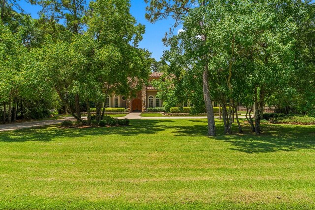 4022 Hidden Winds Dr, Spring, TX 77386 - view of green lawn