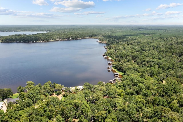 678 Sawmill St, Crockett, TX 75835 - bird's eye view of a forest and a nearby body of water