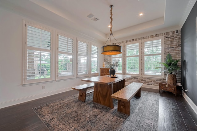 7 Edgemont Ct, Fulshear, TX 77441 - dining room featuring dark wood finished floors, healthy amount of natural light, baseboards, a raised ceiling, and recessed lighting
