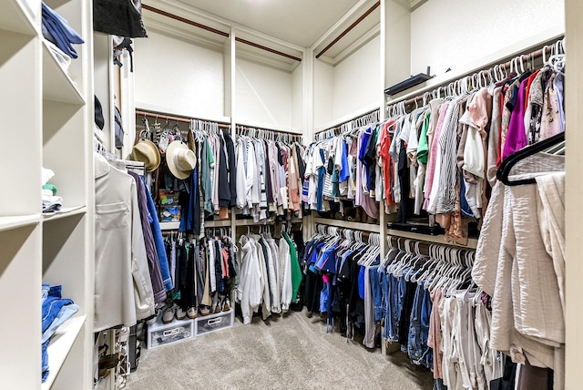 27511 Becketts Knoll Ct, Katy, TX 77494 - walk in closet featuring carpet