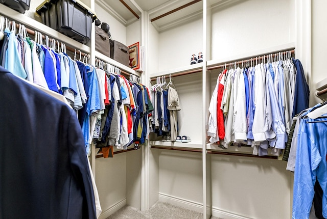 27511 Becketts Knoll Ct, Katy, TX 77494 - spacious closet featuring carpet floors