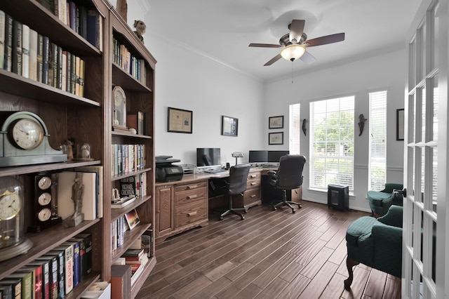 16923 Fondness Park Dr, Spring, TX 77379 - office area featuring a ceiling fan, dark wood-type flooring, and ornamental molding