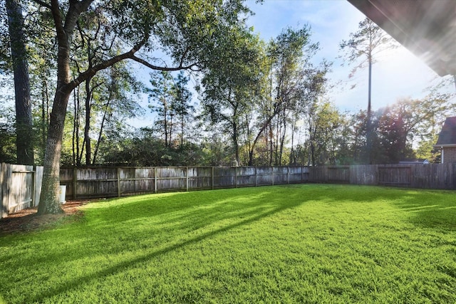 1811 Leela Springs Dr, Conroe, TX 77304 - view of yard