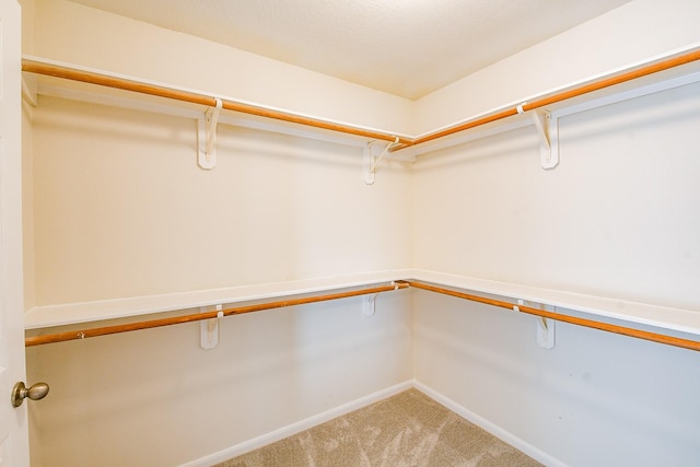 15027 Silhouette Ridge Dr, Humble, TX 77396 - spacious closet featuring light carpet