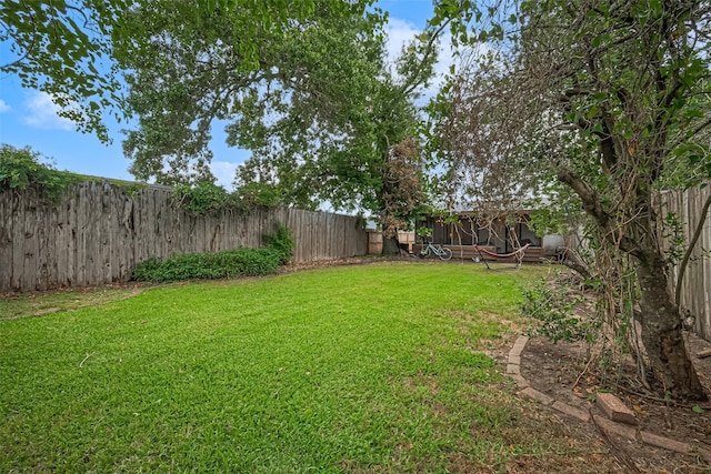 4304 Sherwood Ln Unit 106, Houston, TX 77092 - view of yard