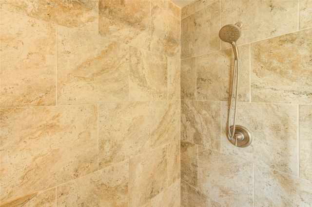 14927 Cypress Green Dr, Cypress, TX 77429 - bathroom view of tiled shower