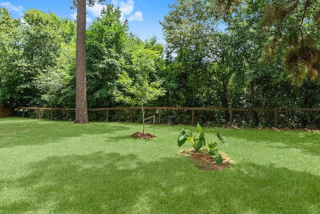 27017 Del Rio Trl W, Magnolia, TX 77355 - view of grassy yard