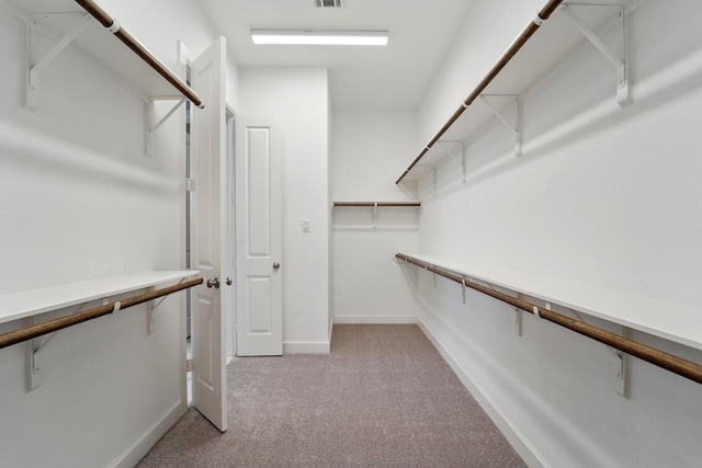 103 Catesby Ct, Conroe, TX 77304 - walk in closet with light colored carpet