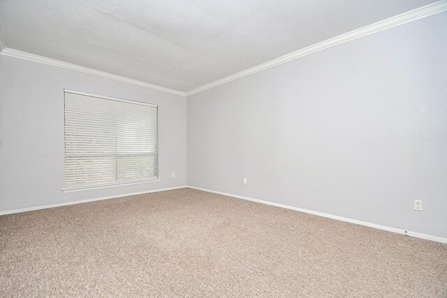 2230 S Piney Point Rd Unit 212, Houston, TX 77063 - photo 15