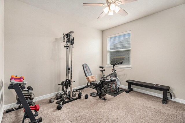 5711 Greenwood Colony Ct, Houston, TX 77059 - workout room featuring a ceiling fan, carpet floors, and baseboards