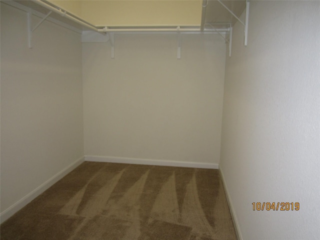 11030 Jacob Crossing Dr, Richmond, TX 77406 - spacious closet featuring carpet