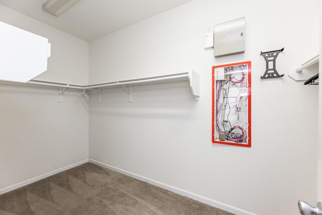 11030 Jacob Crossing Dr, Richmond, TX 77406 - photo 20
