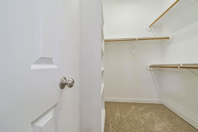 13331 Brentonwood Ln, Houston, TX 77077 - spacious closet with carpet