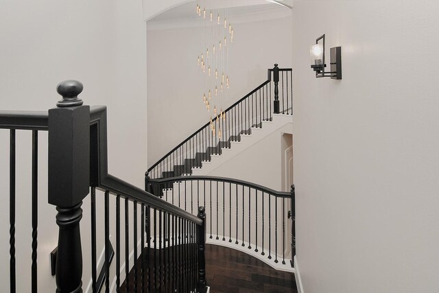 28107 Buena Way, Spring, TX 77386 - stairway featuring wood finished floors, baseboards, and crown molding