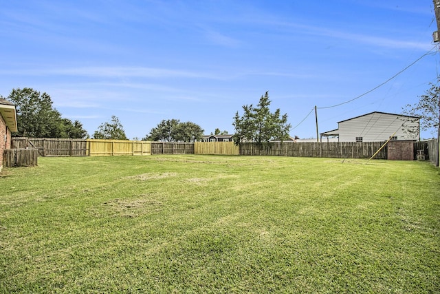 19198 County Road 669e, Alvin, TX 77511 - view of yard