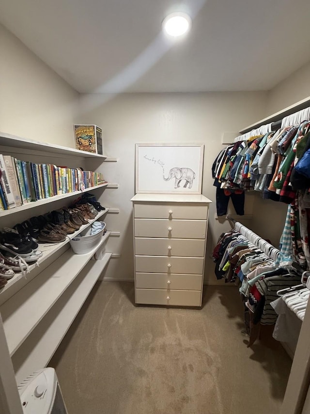 563 12th St, Bay City, TX 77414 - spacious closet with carpet floors