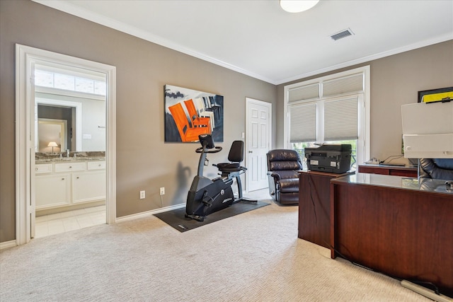 40 E Broad Oaks Dr, Houston, TX 77056 - office featuring crown molding, light colored carpet, baseboards, and a sink