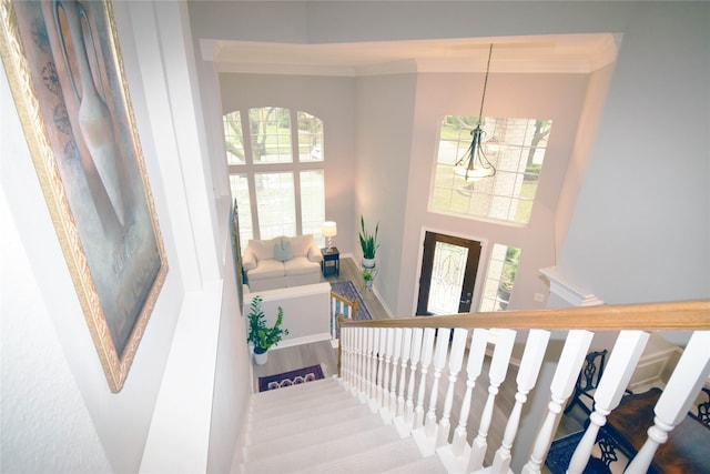5810 Brook Bend Dr, Sugar Land, TX 77479 - stairs featuring crown molding and wood finished floors