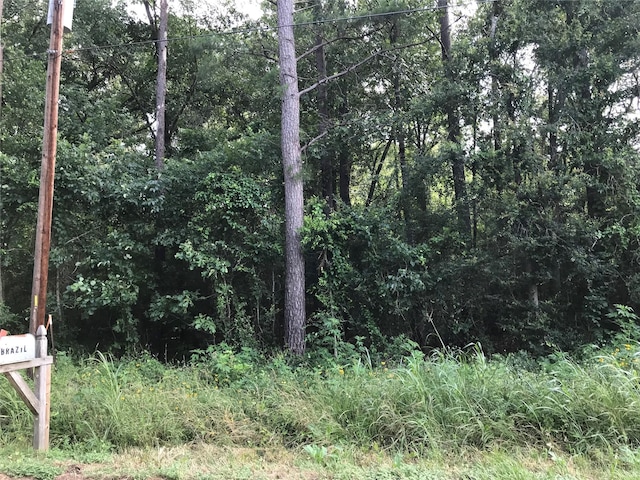 148 Brazil Blvd, Huntsville, TX 77320 - photo 2