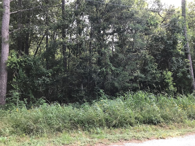148 Brazil Blvd, Huntsville, TX 77320 - photo 3