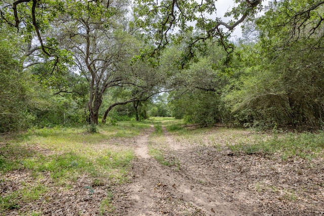 0000 Ih-10, Alleyton, TX 78935