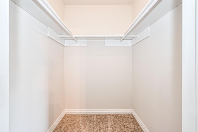 13207 Robinglen Dr, Houston, TX 77083 - spacious closet featuring carpet