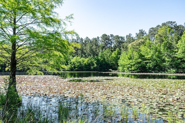 1331 Mccaleb Rd, Montgomery, TX 77316