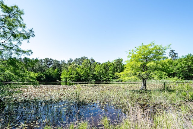 1331 Mccaleb Rd, Montgomery, TX 77316
