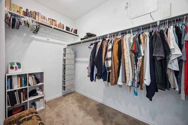 8018 Royal Palm Dr, Fulshear, TX 77441 - walk in closet with carpet floors