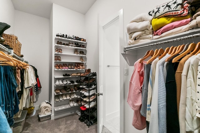 17460 Chestnut Cove Dr, Conroe, TX 77302 - spacious closet featuring carpet