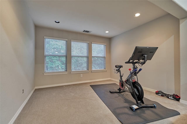 130 Playmoor Pl, Montgomery, TX 77316 - workout room featuring carpet, recessed lighting, and baseboards