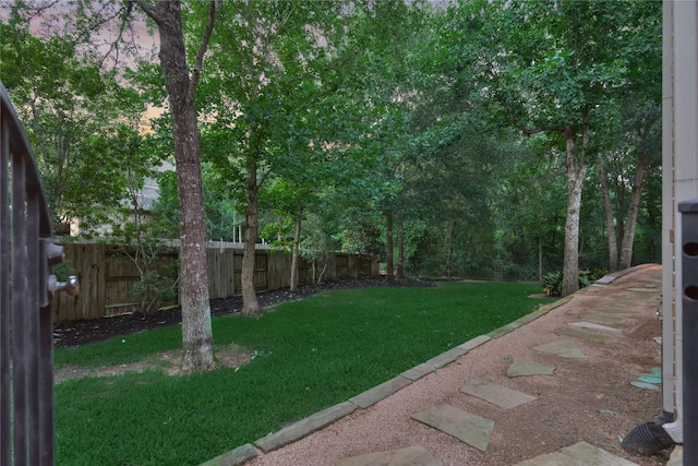 130 Playmoor Pl, Montgomery, TX 77316 - view of yard