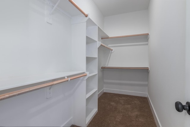 1411 E 34th St, Houston, TX 77022 - spacious closet featuring carpet flooring