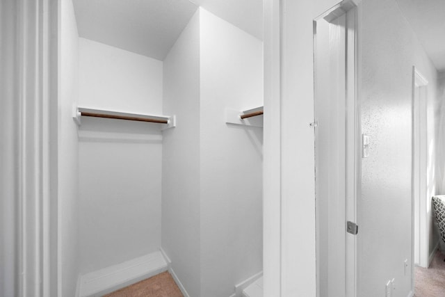 6417 Olympia Dr Unit 144, Houston, TX 77057 - spacious closet featuring carpet floors