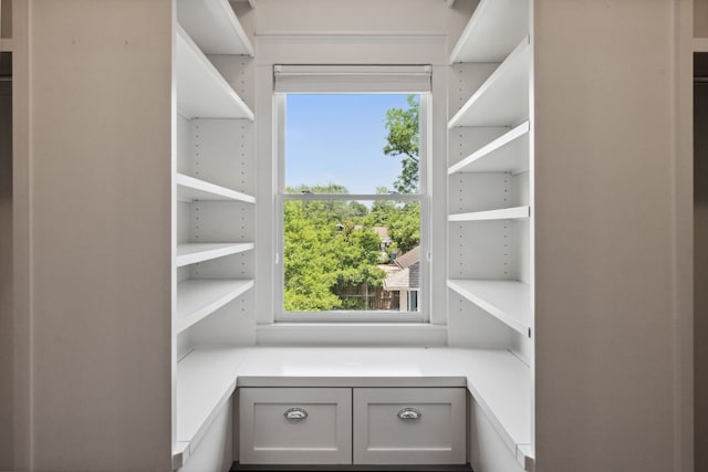 1409 Tulane St, Houston, TX 77008 - view of walk in closet