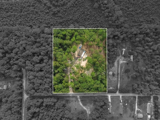 466 County Road 3376, Cleveland, TX 77327 - photo 5
