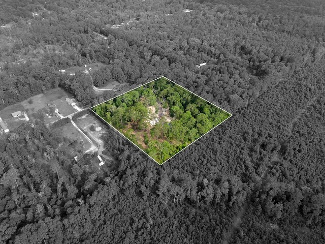 466 County Road 3376, Cleveland, TX 77327 - photo 11