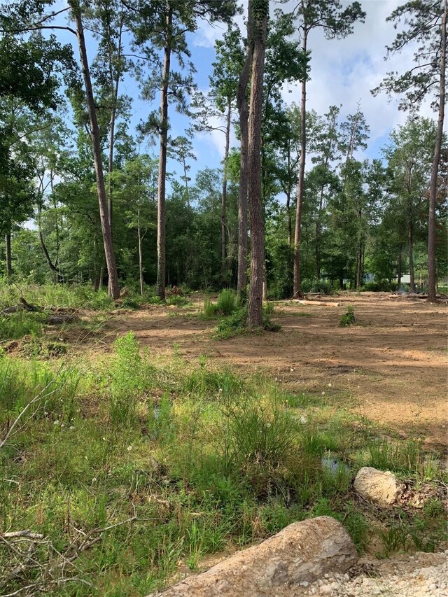 466 County Road 3376, Cleveland, TX 77327 - photo 19