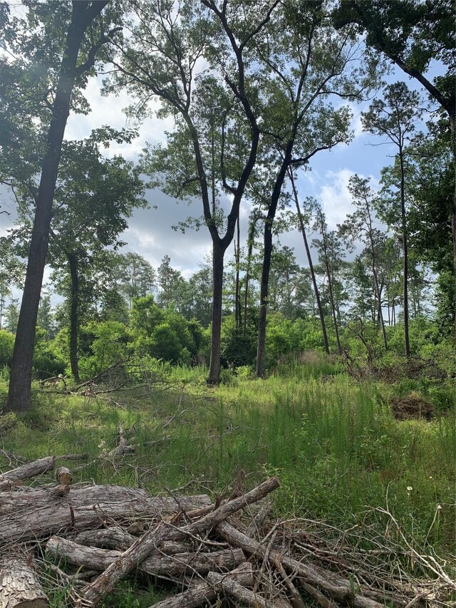 466 County Road 3376, Cleveland, TX 77327 - photo 20