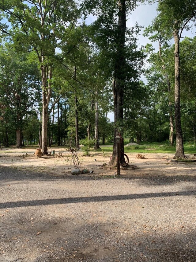 466 County Road 3376, Cleveland, TX 77327 - photo 22