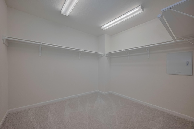 2923 Laurel Mill Way, Houston, TX 77080 - spacious closet with carpet floors